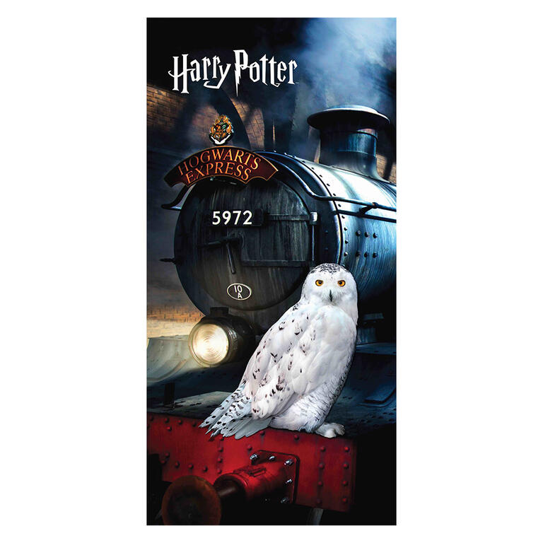Levně Osuška Harry Potter Sova Hedwiga 70 x 140 cm