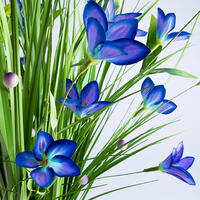 Okrasná tráva svazek modré květy 70 cm 3